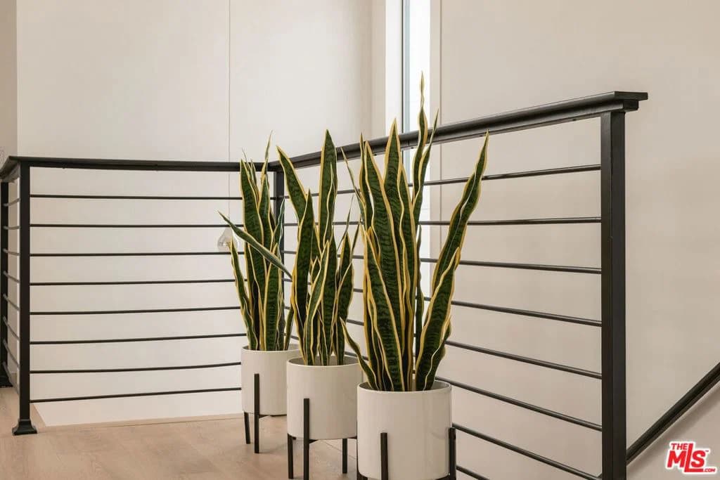 Residential in Los Angeles — Photos 14